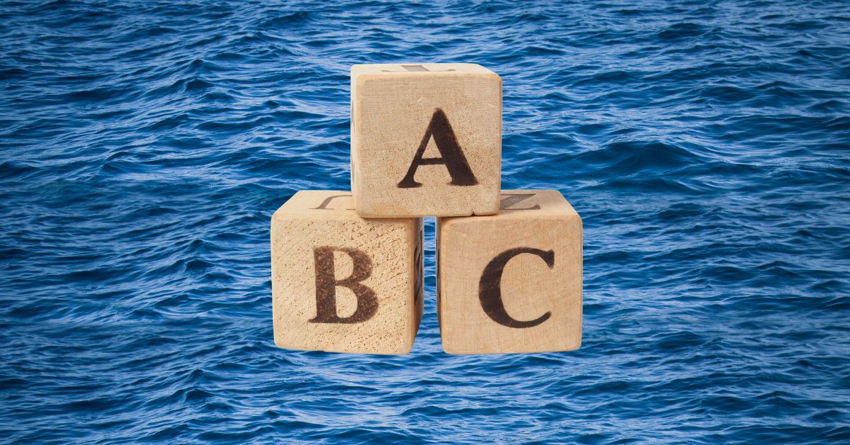 Read more about the article ABC spedytora morskiego, część 2